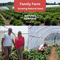 Natures Heritage 27 Variety Vegetable Seed Box